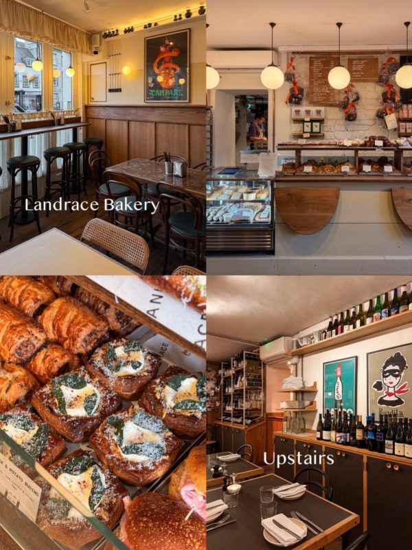 Bath-Kisnis-Vesaire-Fikret-Can-Kusadali-Aralik-2025