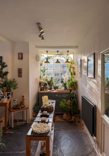 Lake-district-Kisnis-Vesaire-Dec-20256