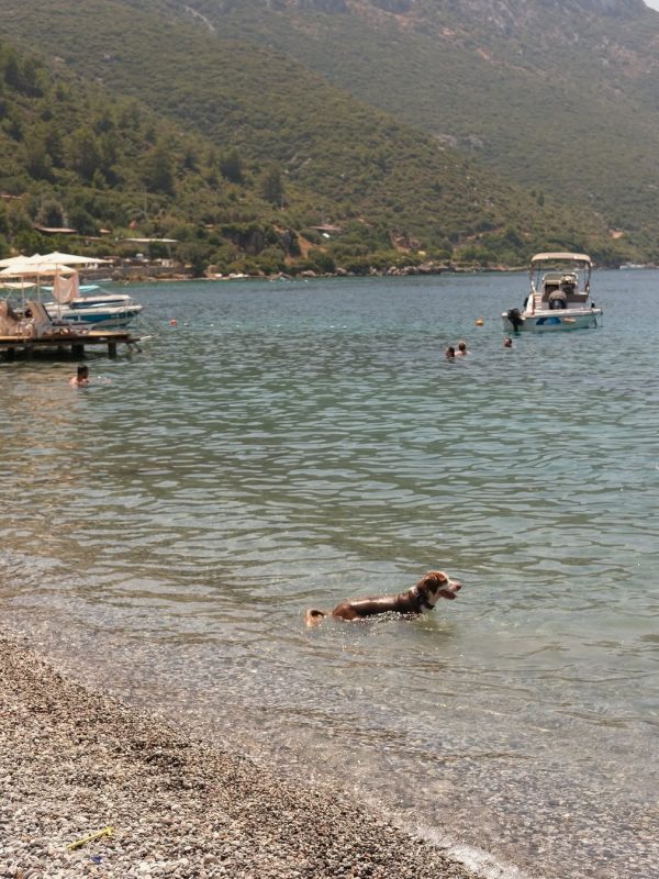 Marmaris-1-2025-Kisnis-Vesaire-Fikret-Can-Kusadali15