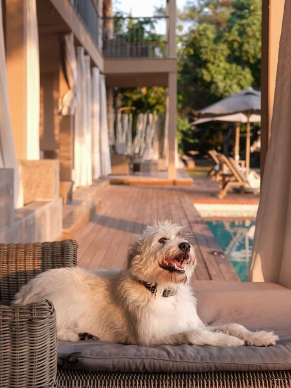 Marmaris-1-2025-Kisnis-Vesaire-Fikret-Can-Kusadali16