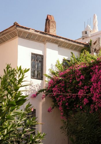 Marmaris-1-2025-Kisnis-Vesaire-Fikret-Can-Kusadali6