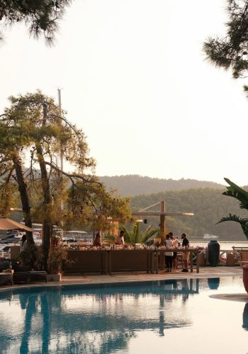 SnapInsta.to_536337271_18022092026735195_8543025192270473108_n