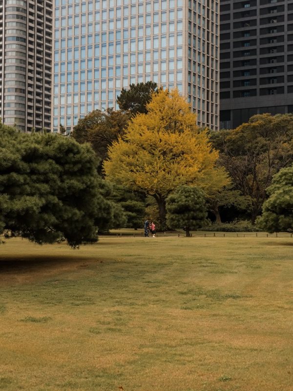 Tokyo-Kisnis-Vesaire-Ekim-2025-Fikret-Kusadali6