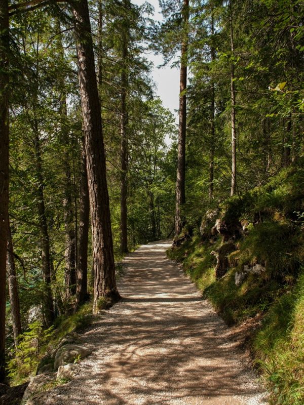 bavaria-munich-kisnisvesaire-20262