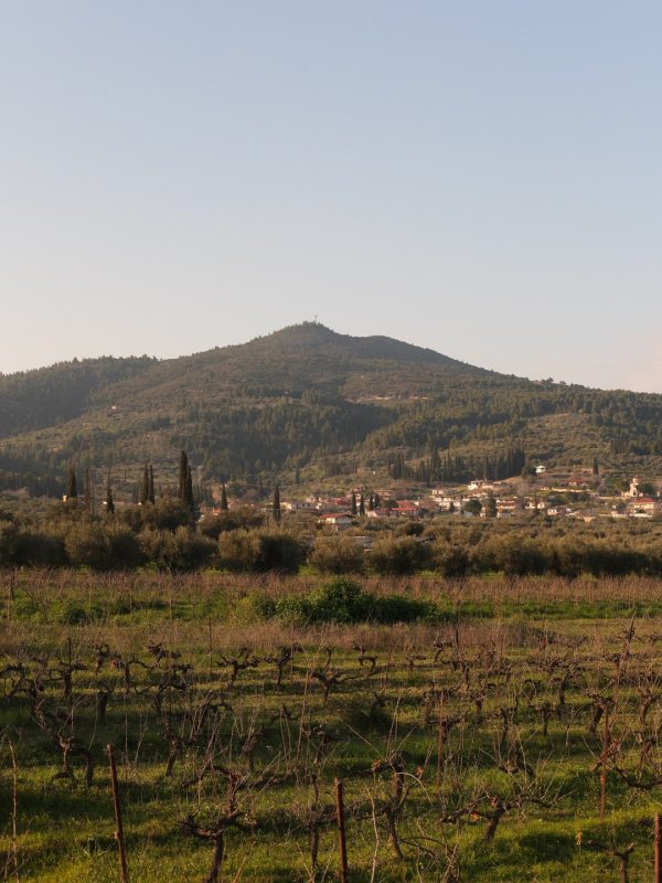mora-peloponnese-kisnisvesaire-2025-5