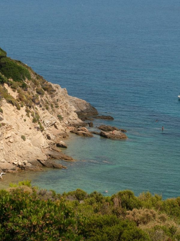 skiathos-2026-fikret-kusadali-kisnisvesaire-10