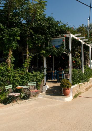 skiathos-2026-fikret-kusadali-kisnisvesaire-25