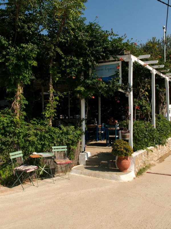 skiathos-2026-fikret-kusadali-kisnisvesaire-25