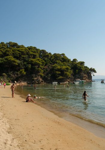 skiathos-2026-fikret-kusadali-kisnisvesaire-60