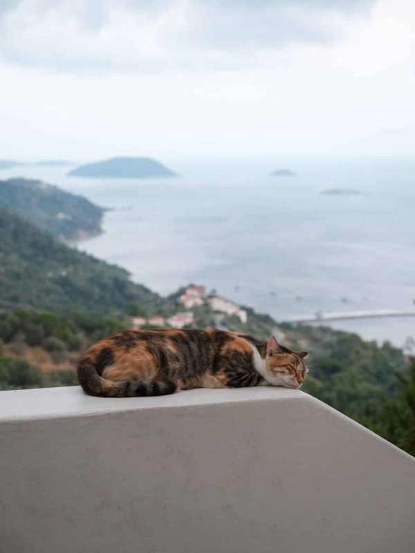 skopelos-kisnisvesaire-25062026-fikret-kusadali-48